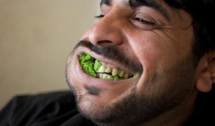 0002B6-un-uomo-che-mastica-qat Un uomo che mastica qat