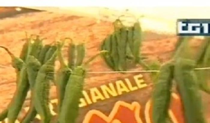 La Repubblica del peperoncino