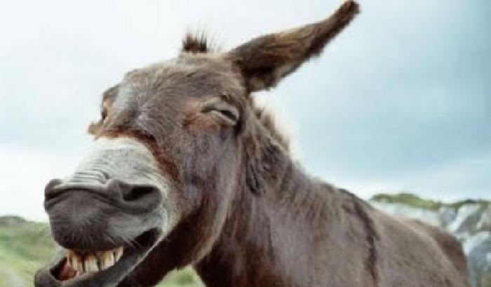 Governo di incapaci: i ticket sanitari previsti dalla manovra sono inapplicabili