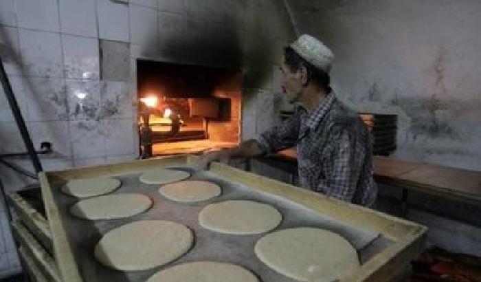 00080E-NEWS_4006 A Betlemme, sciopero della fame