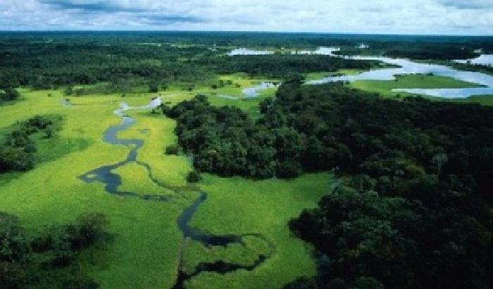Amazzonia soffocata dai ladri di ossigeno