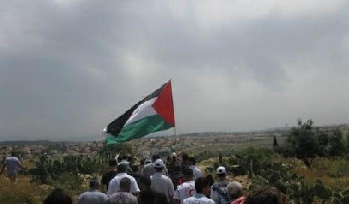 Palestina: scontri durante la marcia verso il muro