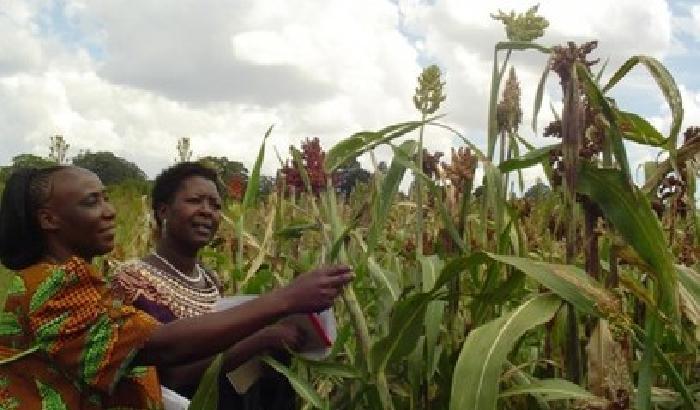 0028C0-NEWS_21228 L’Africa in vendita