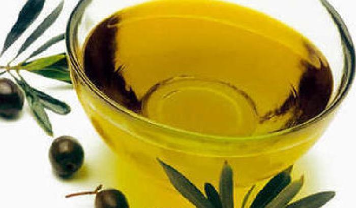 Olio d'oliva contraffatto, maxi retata in Italia