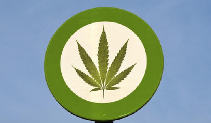 005E44-NEWS_46995 In Uruguay marijuana di Stato