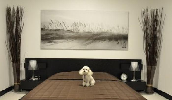 Hotel di lusso per i cani newyorkesi