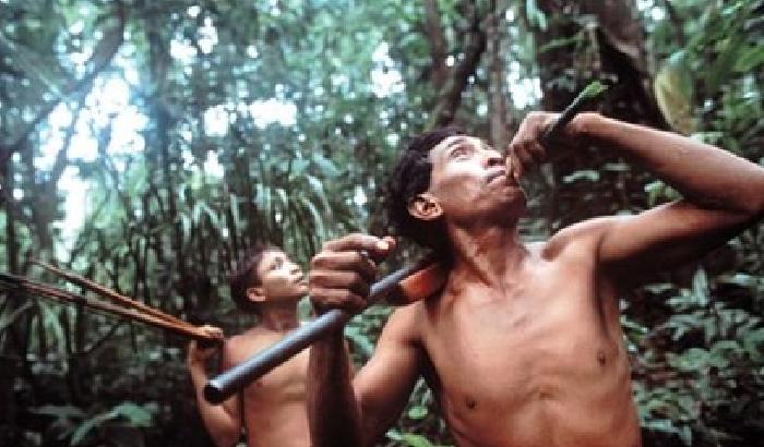 Strage di indios yanomami nell'Amazzonia venezuelana
