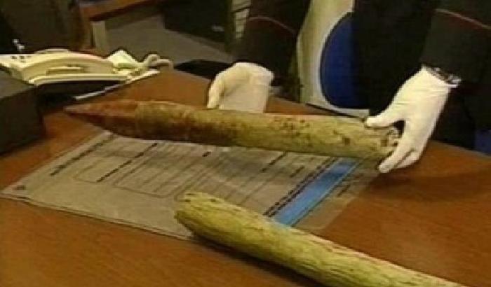 0086F1-NEWS_64041 Uccise un carabiniere, rito abbreviato