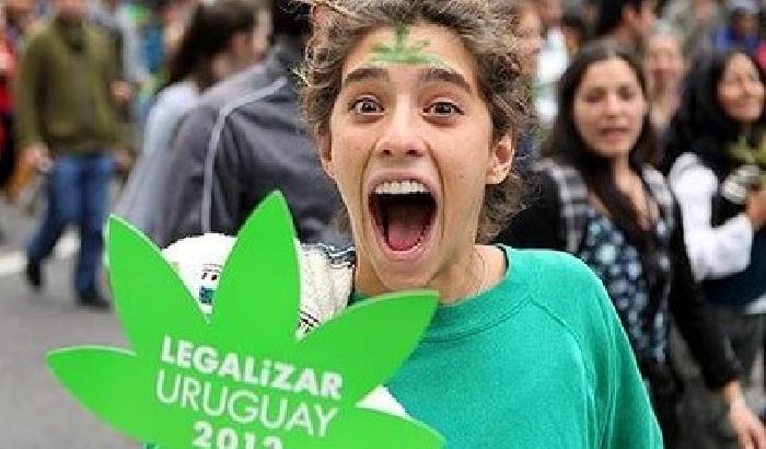 Uruguay, contro il proibizionismo marijuana di Stato