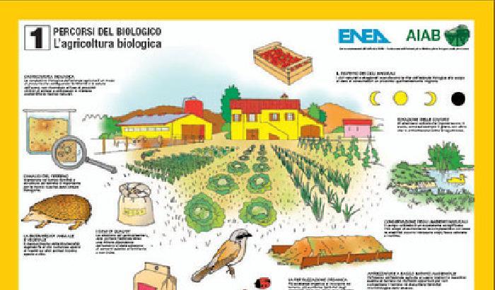 Agricoltura biologica, unica via contro il riscaldamento globale