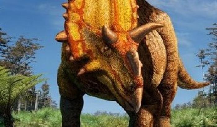 È cornuto l'ultimo dinosauro scoperto