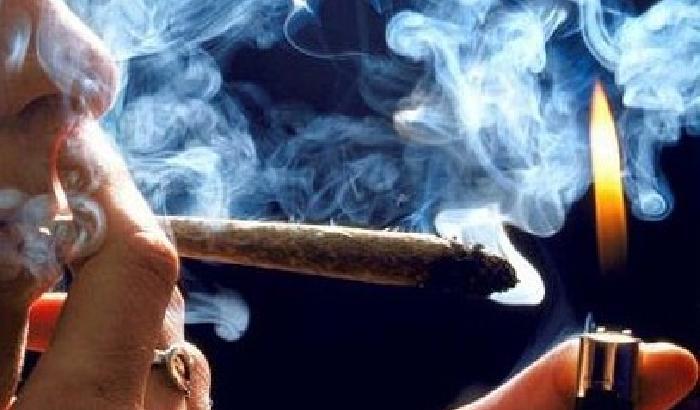 00A890-NEWS_82732 Usa: fumano marijuana e gli sparano