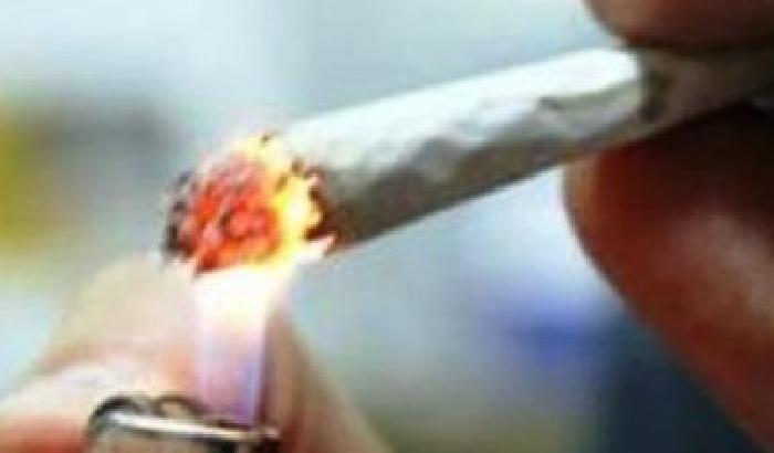 00AB6B-NEWS_84234 Sempre più cannabis tra gli adolescenti