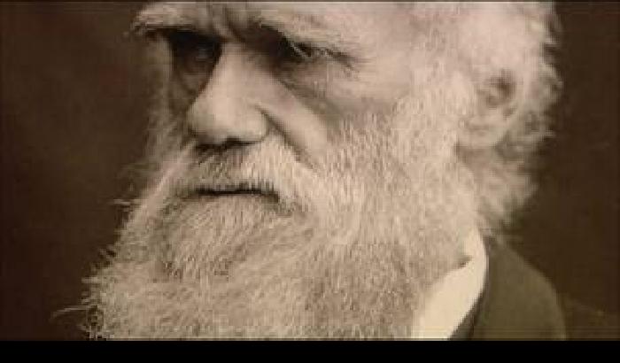 Darwin e la religione, ritratto di un eretico gentile