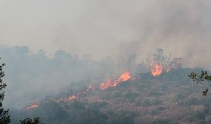Sardegna in fiamme, quattro i feriti