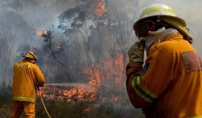 Arriva il caldo torrido in Australia: è allarme incendi