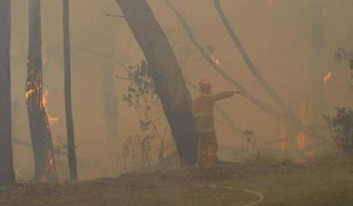 L'Australia va a fuoco: oggi il giorno più duro