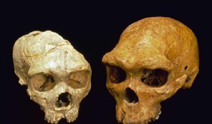 00CB65-NEWS_102821 Trovato il Dna più antico del mondo in Spagna