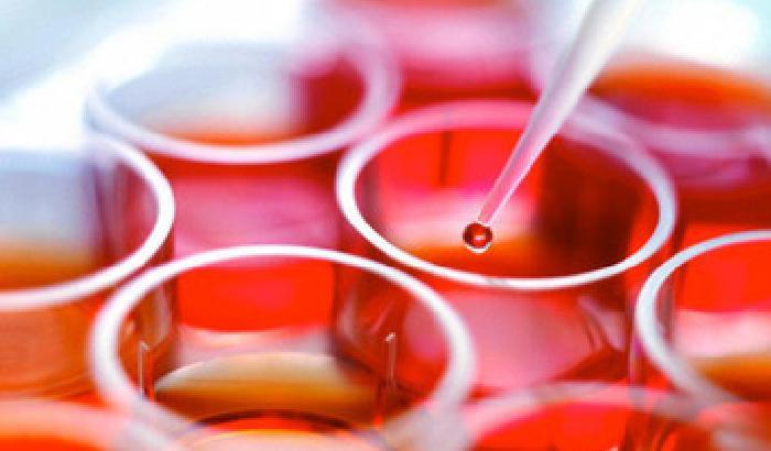 Stamina: truffa o speranza?