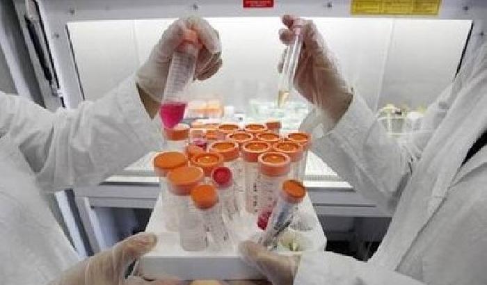 Stamina: minacce ai parlamentari, la denuncia dei Nas