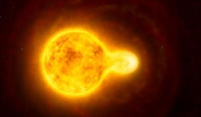 Fotografata la stella gialla più grande