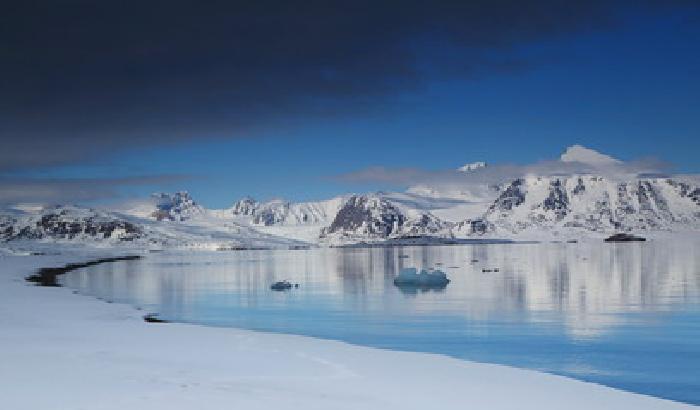 10 cose da fare alle Isole Svalbard: orsi polari e slitte