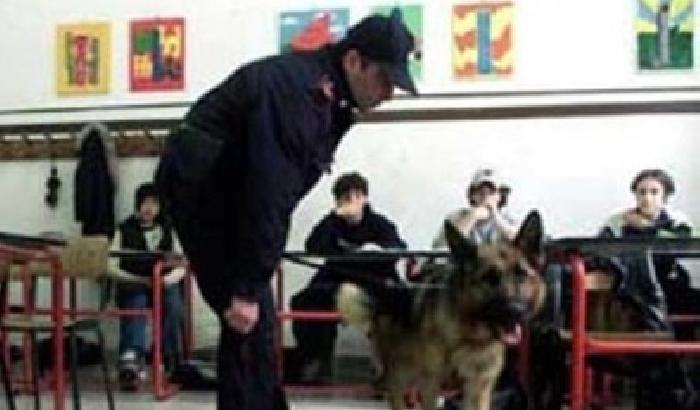 Se i cani poliziotto entrano a scuola