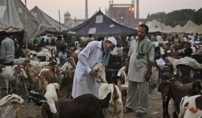 Mangiarono un bambino morto: a processo due fratelli cannibali