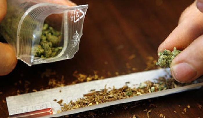 Lugano: i giovani liberali radicali per la legalizzazione della marijuana