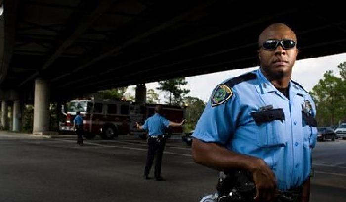 Prende a calci un gatto, arrestato 21enne di New York