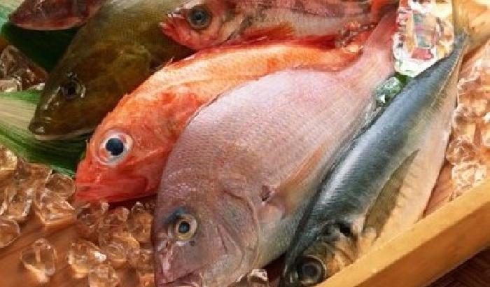 Mangiare più pesce per combattere la depressione