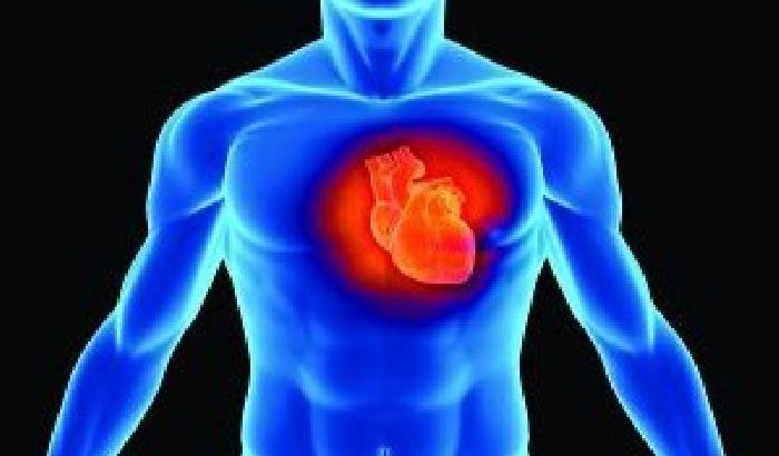 Malattie cardiache riprodotte in chip