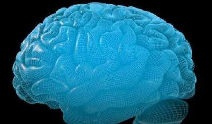 Cervello: ecco perché non vediamo i piccoli cambiamenti