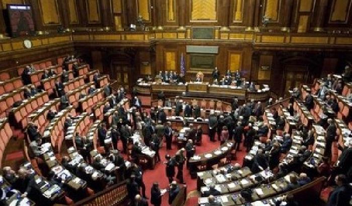 Il Senato a passo di canguro verso il campo di rugby