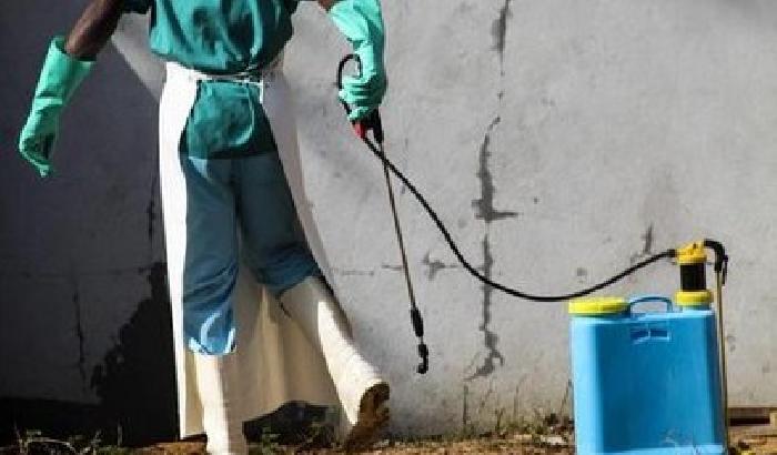 Ebola, l'Oms: emergenza sanitaria internazionale