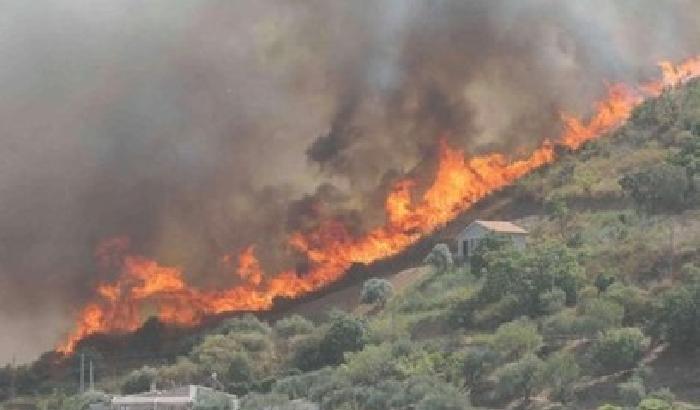 00F05B-NEWS_124854 Sardegna bruciata: 1539 incendi nell'isola
