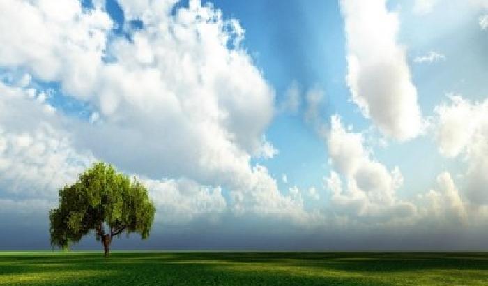 Nuovo Pil? Calcolare il valore della natura