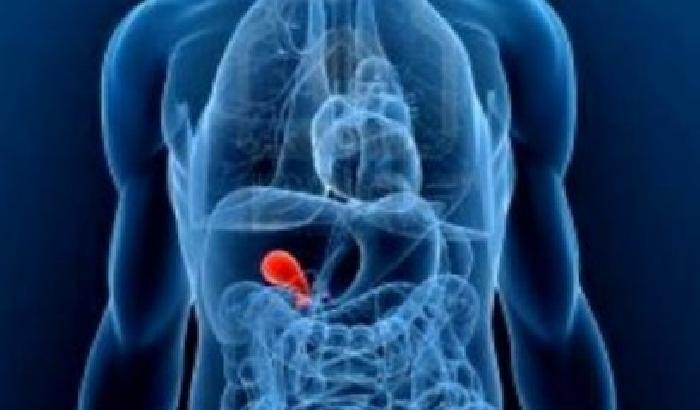 La prima milza artificiale