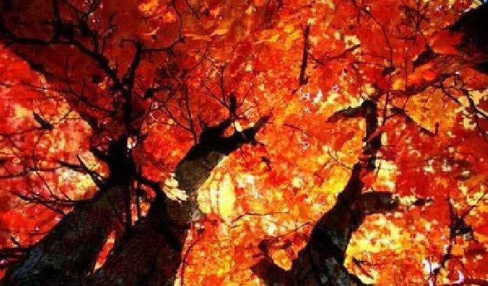 Oggi è l’equinozio d’autunno: cosa cambierà