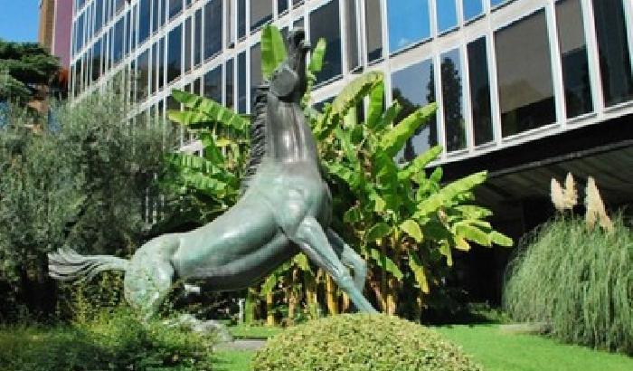 Rai: dal Texas al Brasile la spesa &egrave; servita