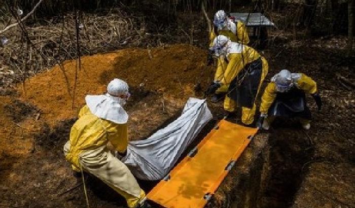 Emergenza Ebola: ecco come riconoscere il virus