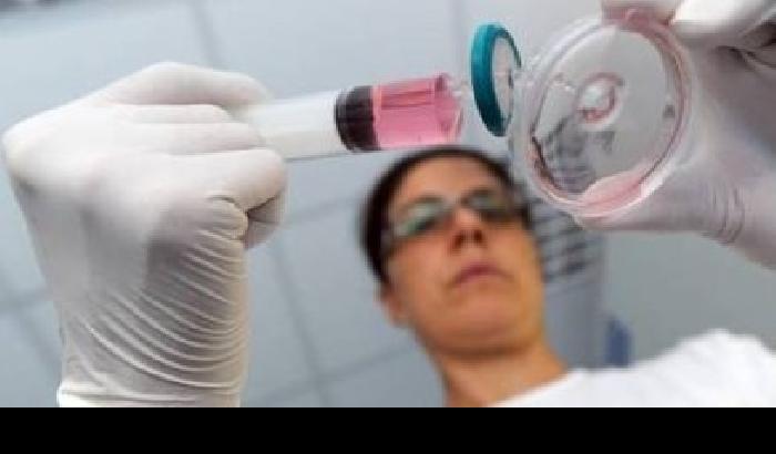 Cancro: un italiano su quattro guarisce