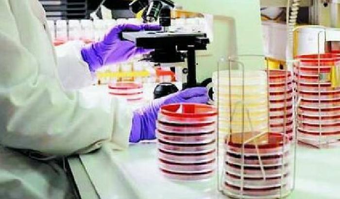 Ricerca scientifica