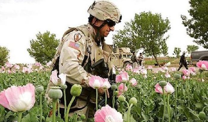 Afghanistan, aumenta la produzione di oppio