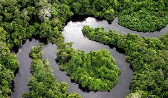 Amazzonia: deforastazione diminuisce del 18%