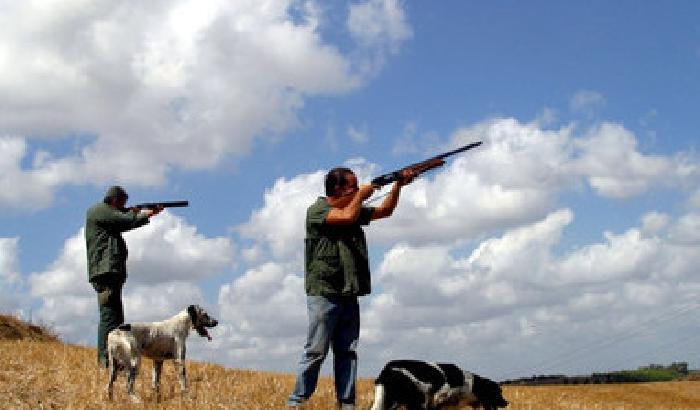 Stagione di caccia: 14 morti in 3 mesi