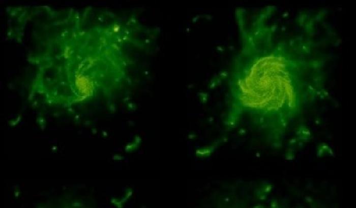 0108C9-NEWS_137195 Il futuro delle galassie in un super computer