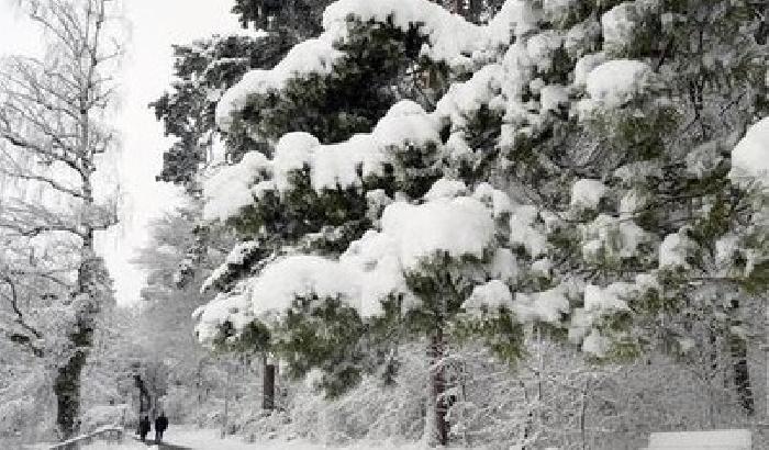010C82-NEWS_139178 Maltempo: Sardegna sotto la morsa del freddo