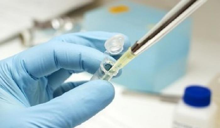 010EC1-NEWS_140353 Scoperto un gene per spegnere il cancro