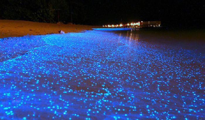 Alle Maldive, la sabbia diventa blu e la spiaggia si illumina di notte